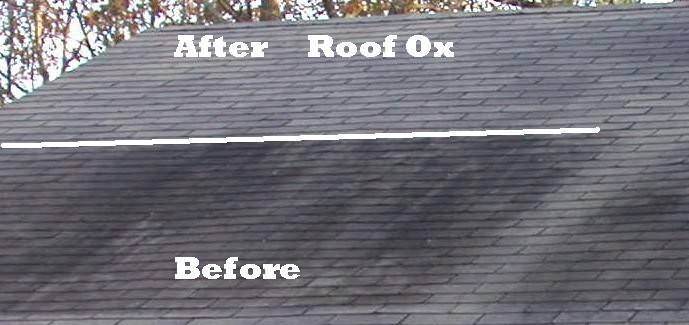 Roof Mold Cleaner OX