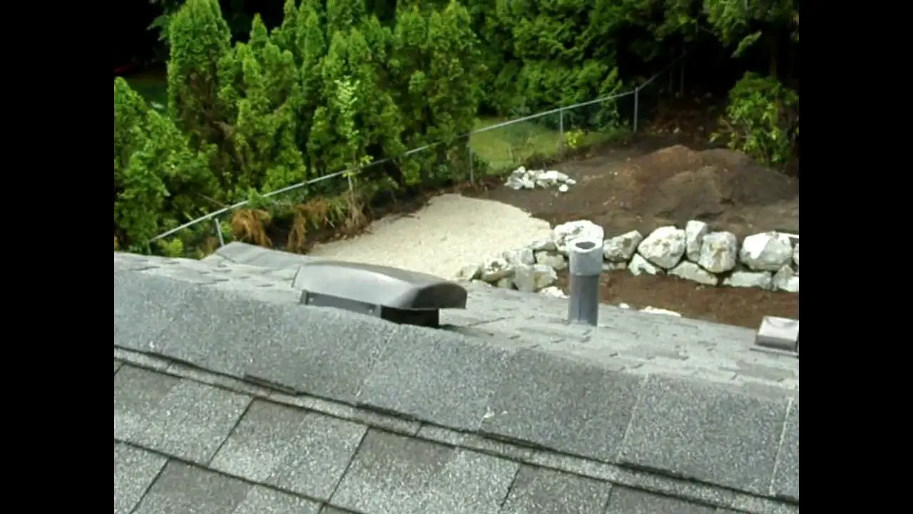 ROOF MOSS REMOVAL
