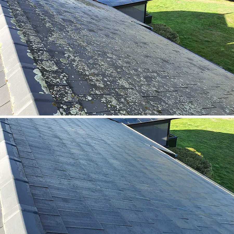Roof Moss Removal Service