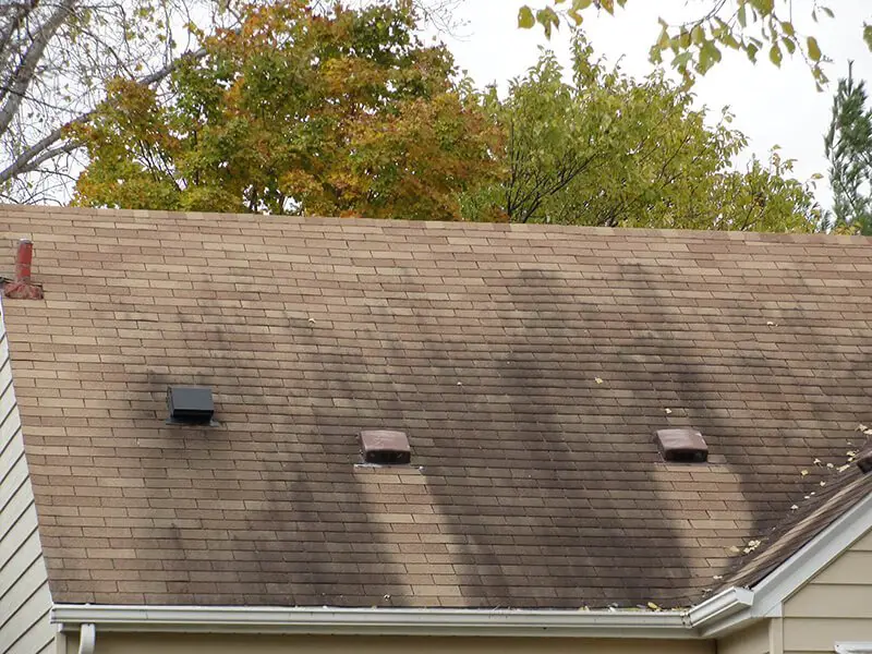 Roof Stains and How to Remove Them