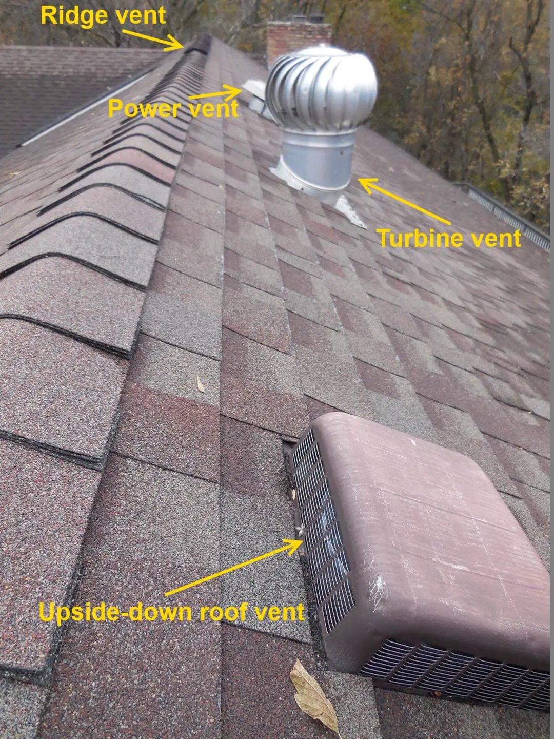 Roof Vents: Problems and Solutions