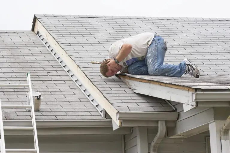 See How Easily You Can Spot Roof Leaks With These Tips ...