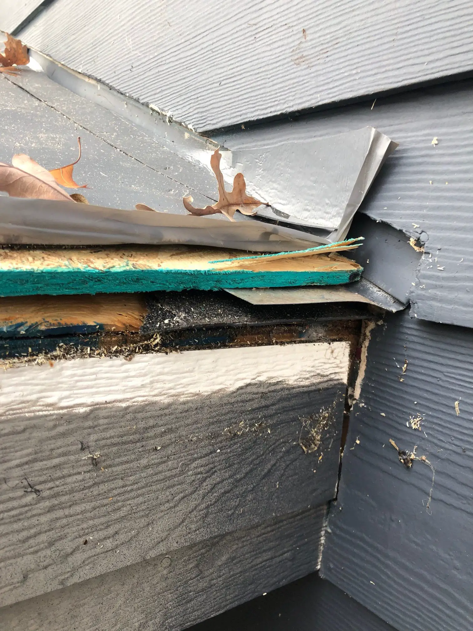 sheathing: " The contractor has installed new osb over the ...