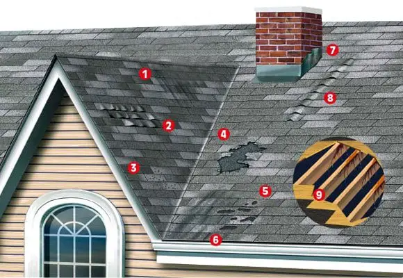 Signs of Shingle roof damage