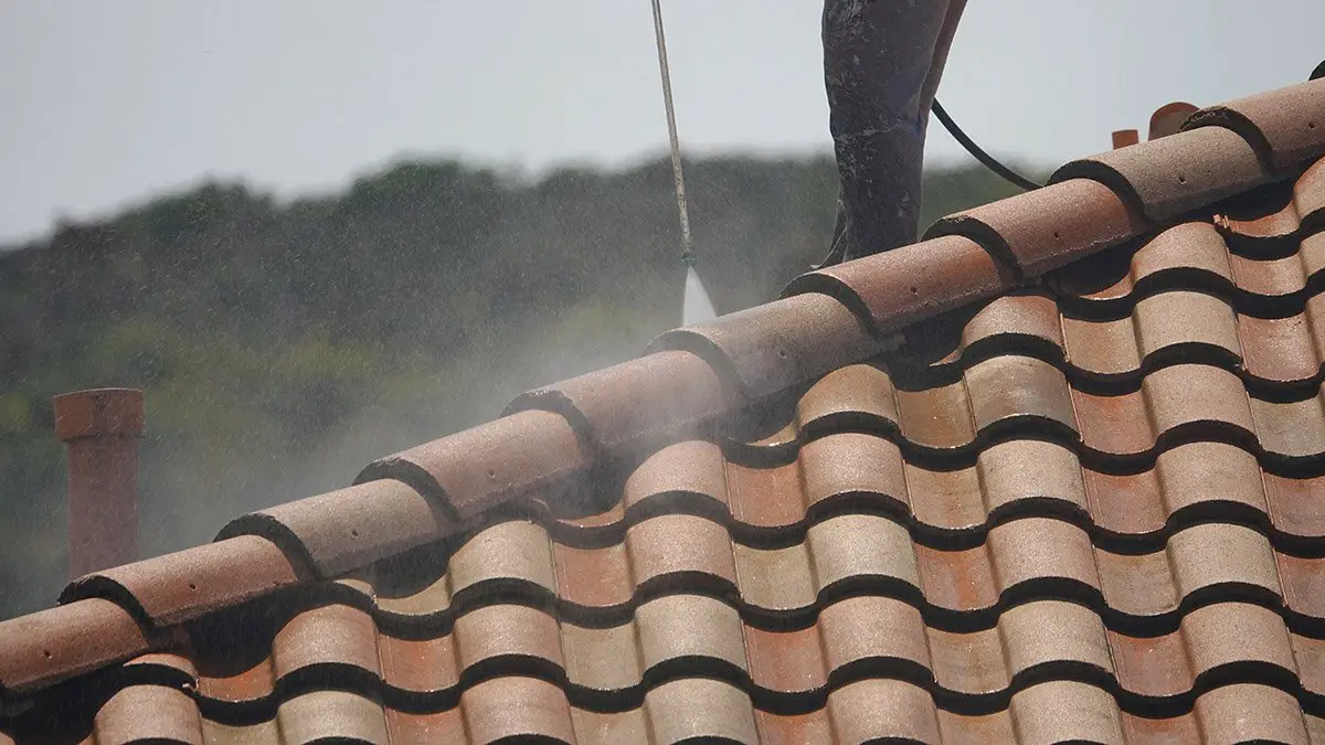 Signs You Should Get Your Roof Professionally Cleaned