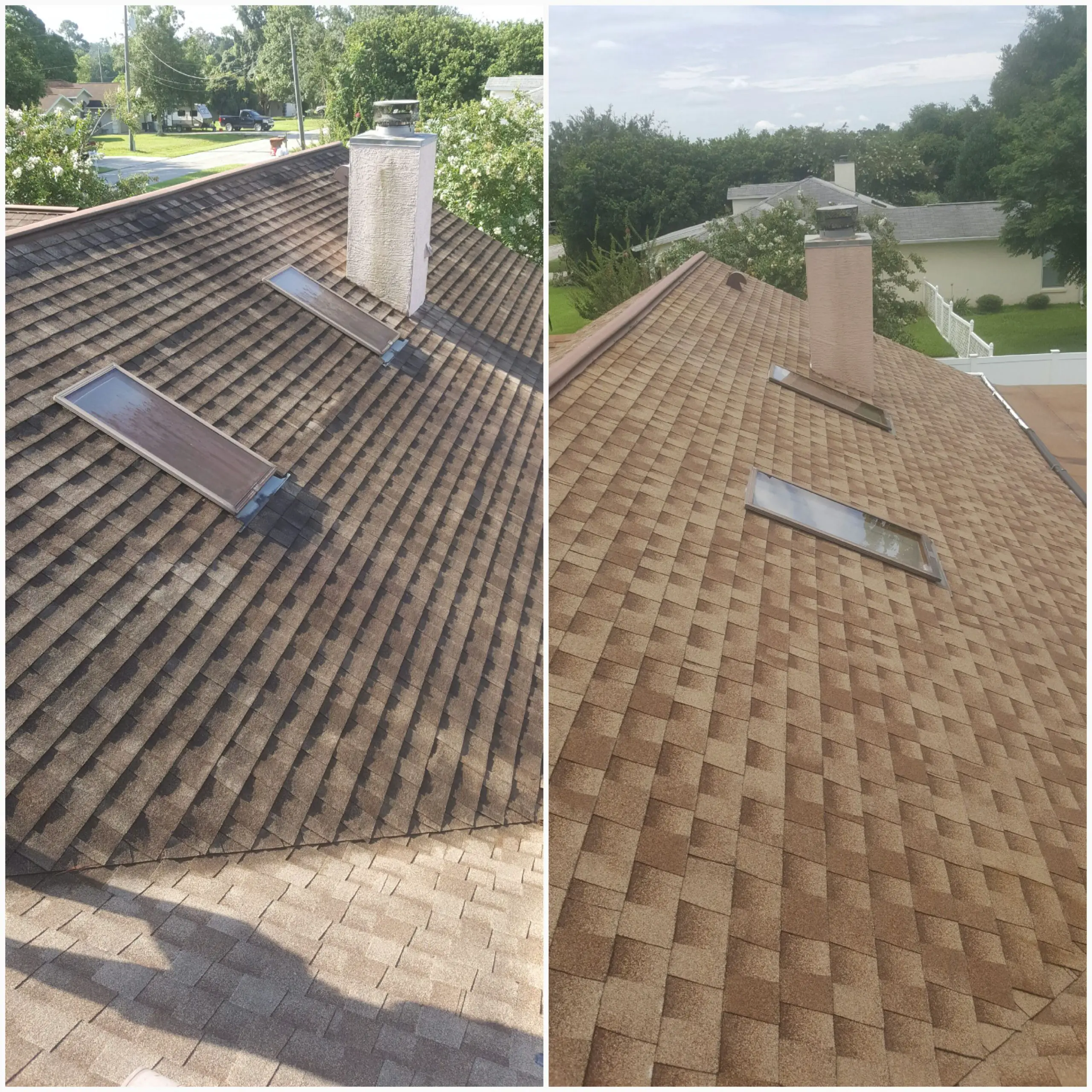 Softwash Roof Cleaning