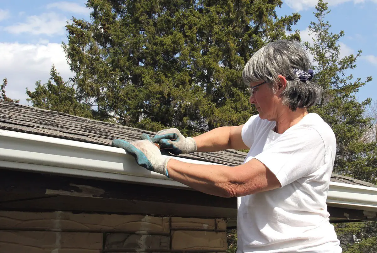 Spring Roof Maintenance: Look Out For These Problems As ...