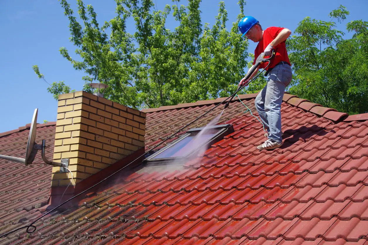 The Best Roof Cleaners for Mold, Mildew, and More
