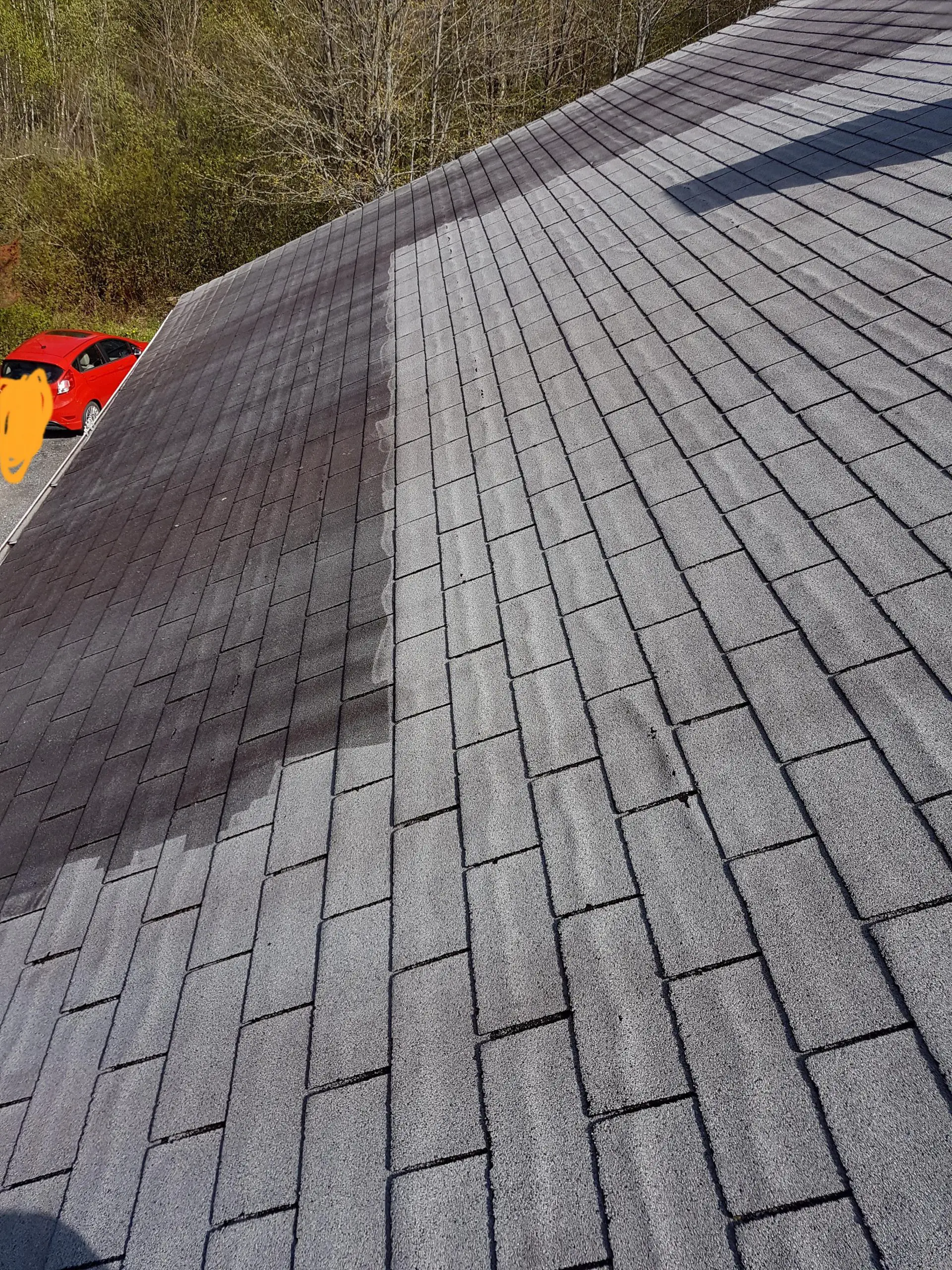 Thought you guys might like my asphalt roof shingles ...