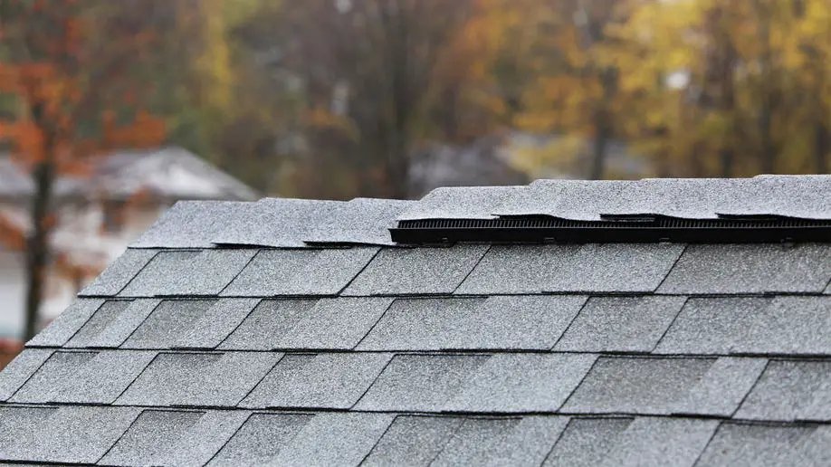 Types of Roofing: Do You Have the Right One?
