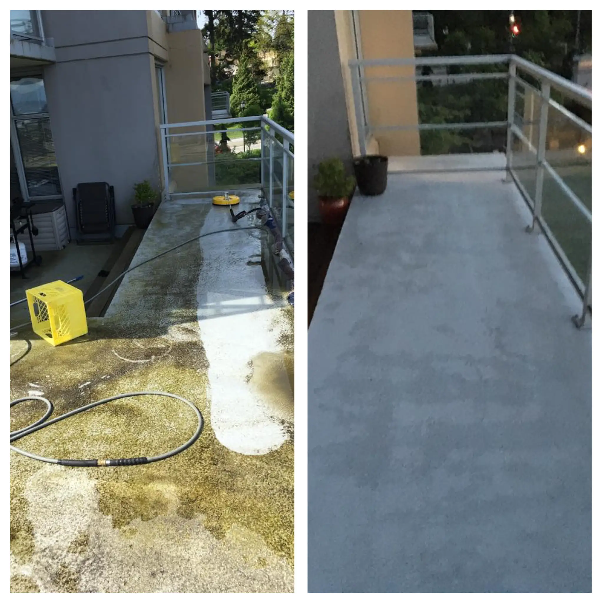 Vancouver Roof Moss Removal &  Algae Cleaning