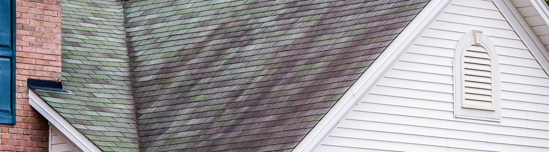 What are the Black Streaks on My Roof?