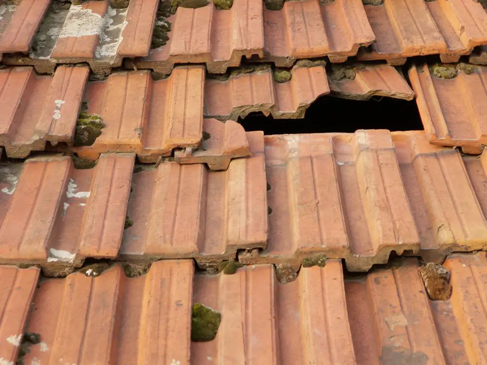 What to do if you have a commercial roof leak