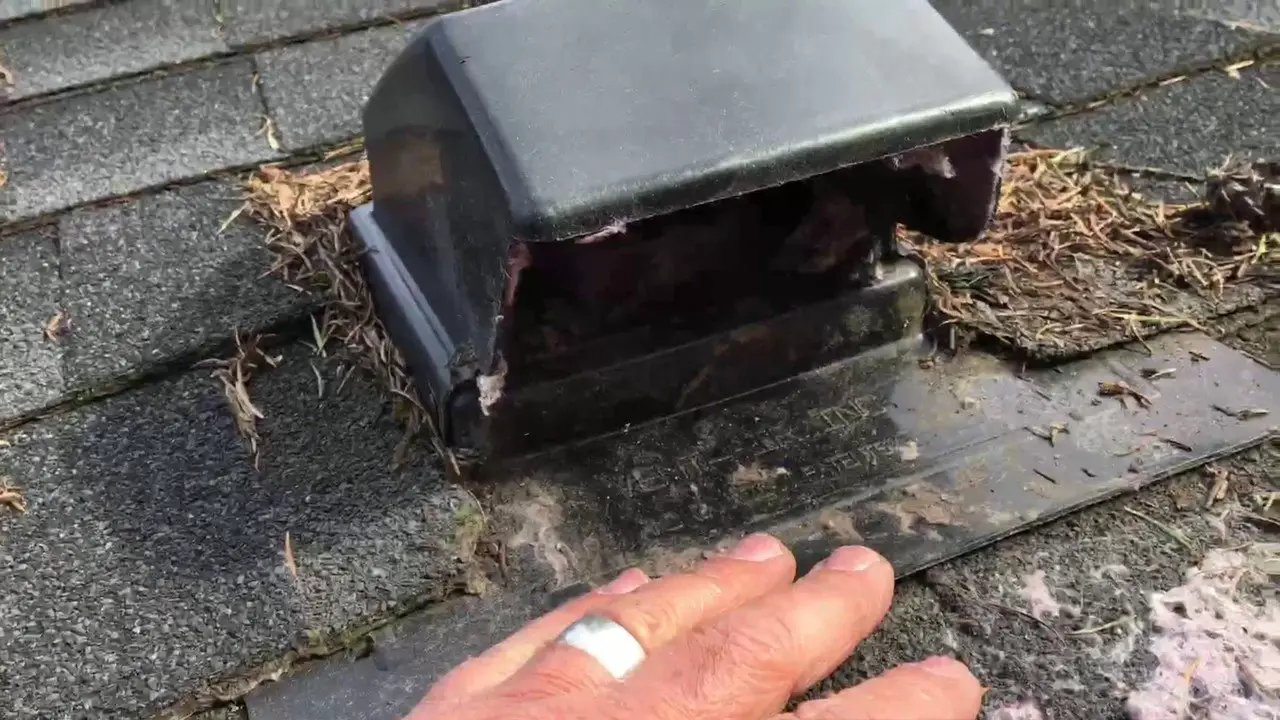 What To Do If You Have a Dryer Vent On Your Roof