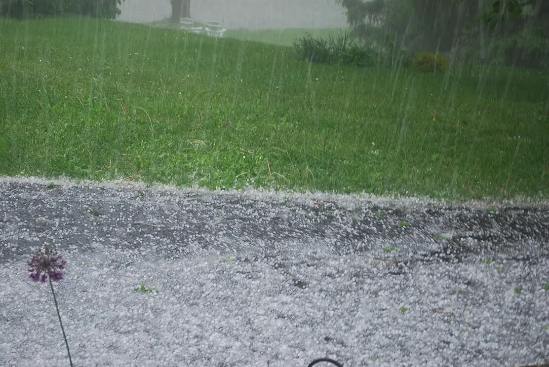 What to Do If Your Roof Suddenly Starts Leaking During a Storm