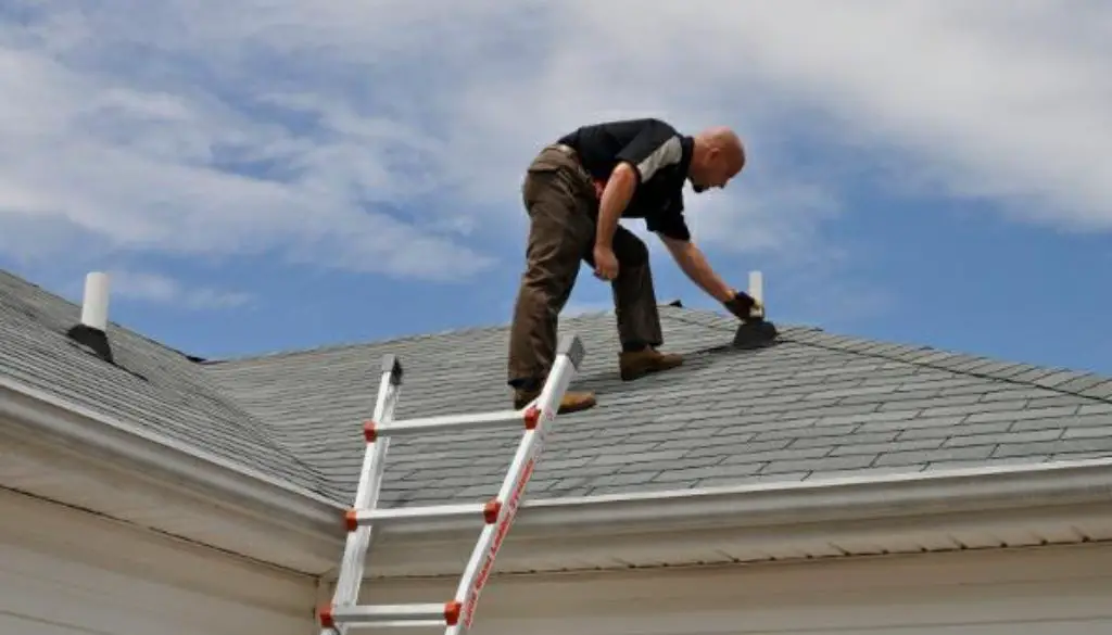 What to Look For When Carrying Out a Roof Inspection
