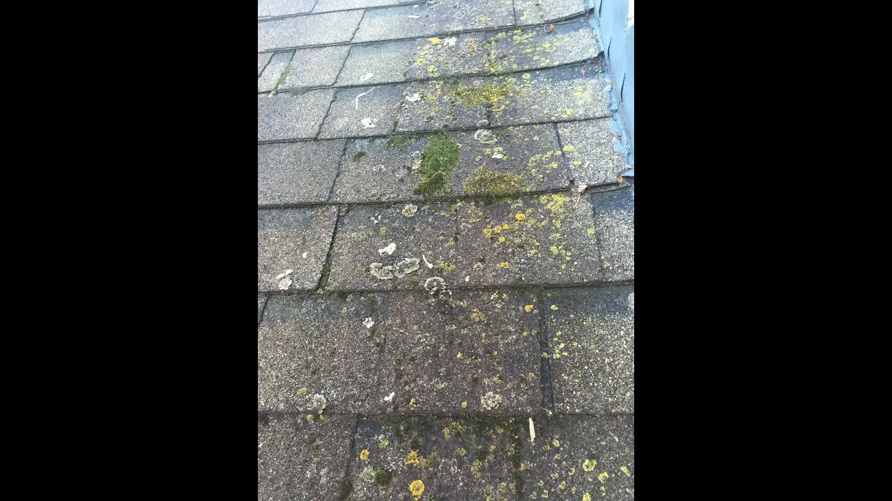 Whats on my Roof? Roof Cleaning Cincinnati