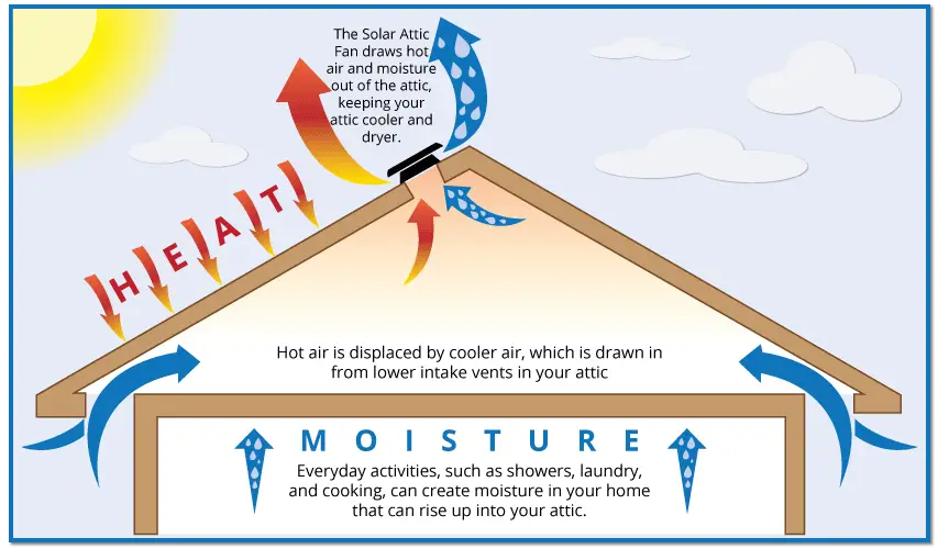 Why Roof Ventilation Matters