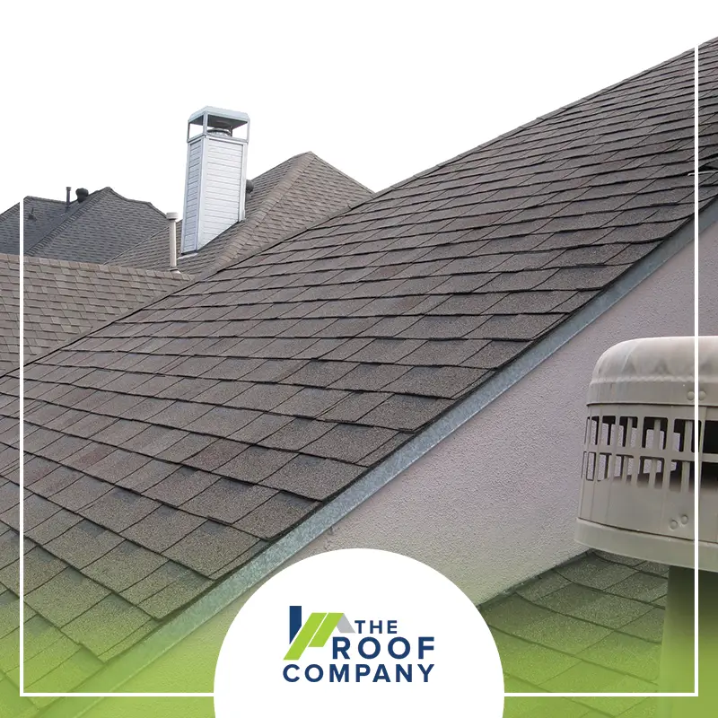 Your roof may take a beating over the course of their service life. As ...